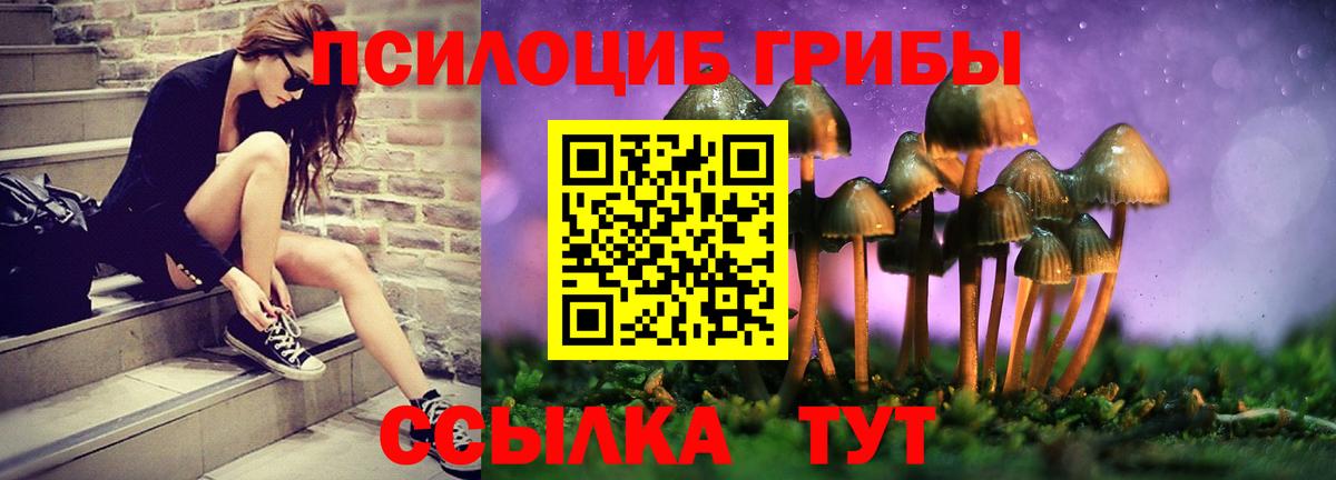 Ливны  Псилоцибиновые грибы GOLDEN TEACHER  Вход с VPN 